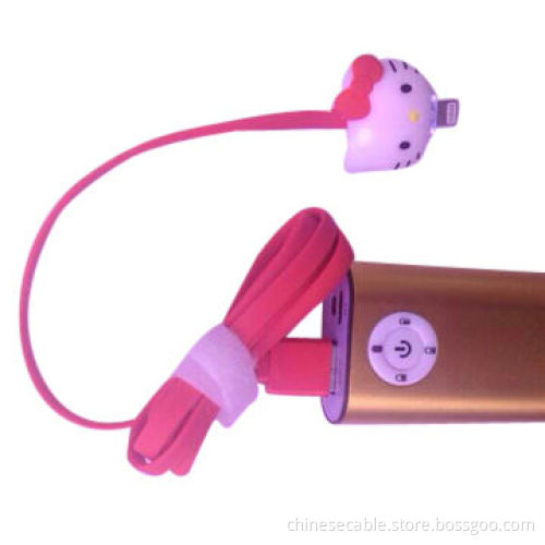 Cartoon Data Cable for iPhone, iPod